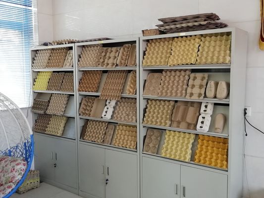 Macchina per vassoi di uova all'avanguardia per soluzioni di imballaggio sostenibili