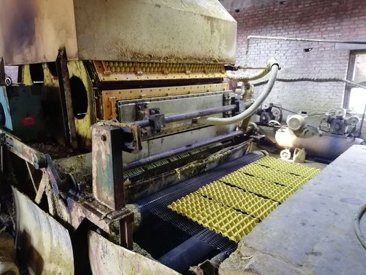 Macchina per vassoi di uova all'avanguardia per soluzioni di imballaggio sostenibili
